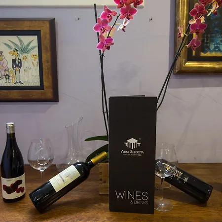 Otel Alba Seleqtta Lloret de Mar