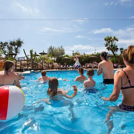 Alba Seleqtta